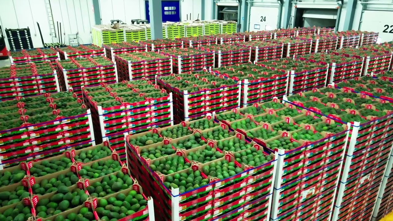 Discover Looije Packing Ridderkerk