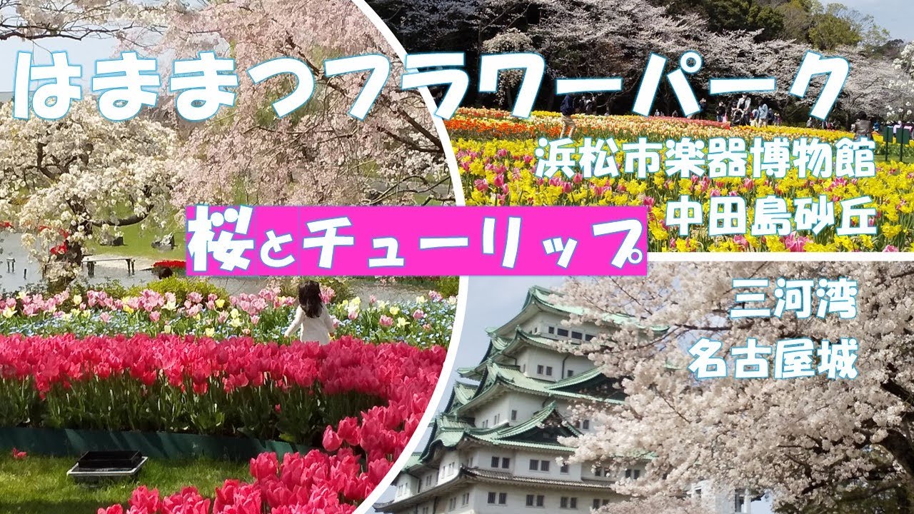 はままつフラワーパーク【静岡おでかけvlog】桜とチューリップを一緒に見よう。