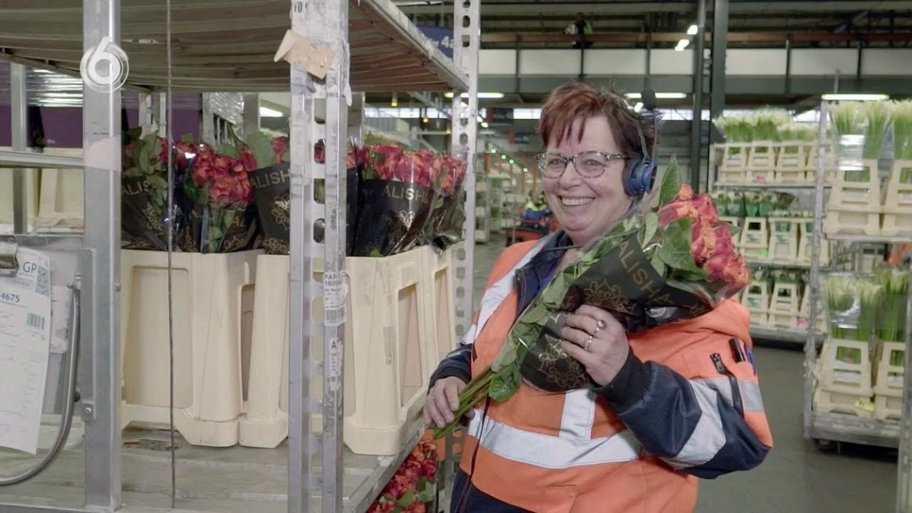 Dichter op de werkvloer: bloemenveiling (afl. 9) | Man Bijt Hond | Reinier van der Veer