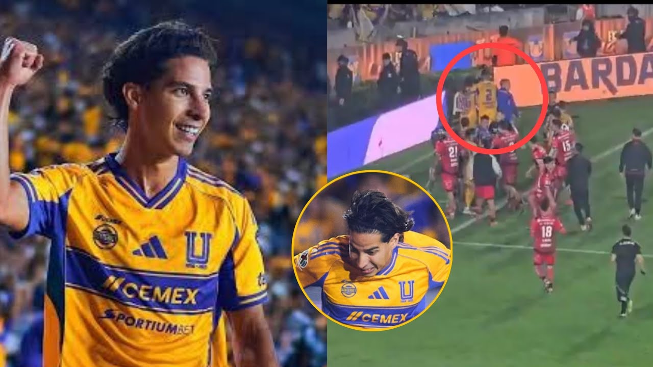 ¿Que hizo LAINEZ? JUGADORES de XOLOS lo querían GOLPEAR 