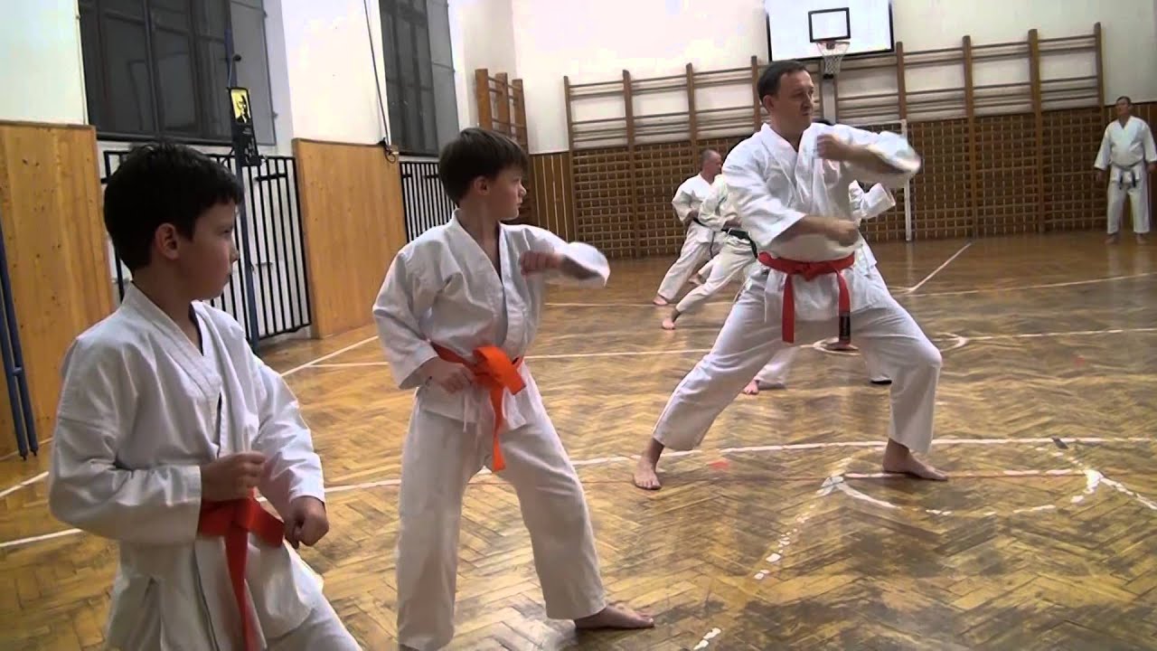 LITOMĚŘICE: Výuka tradičního karate