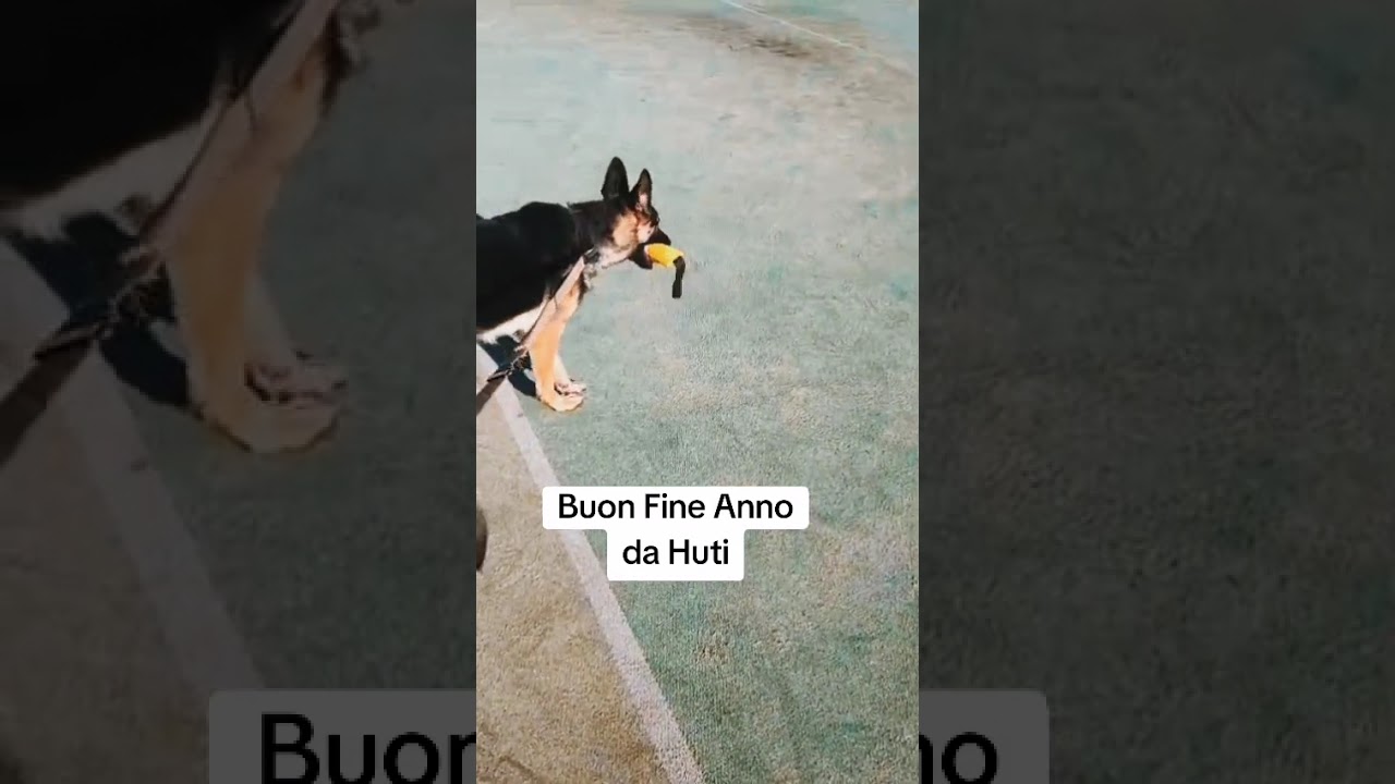 Buon fine anno da Huti 