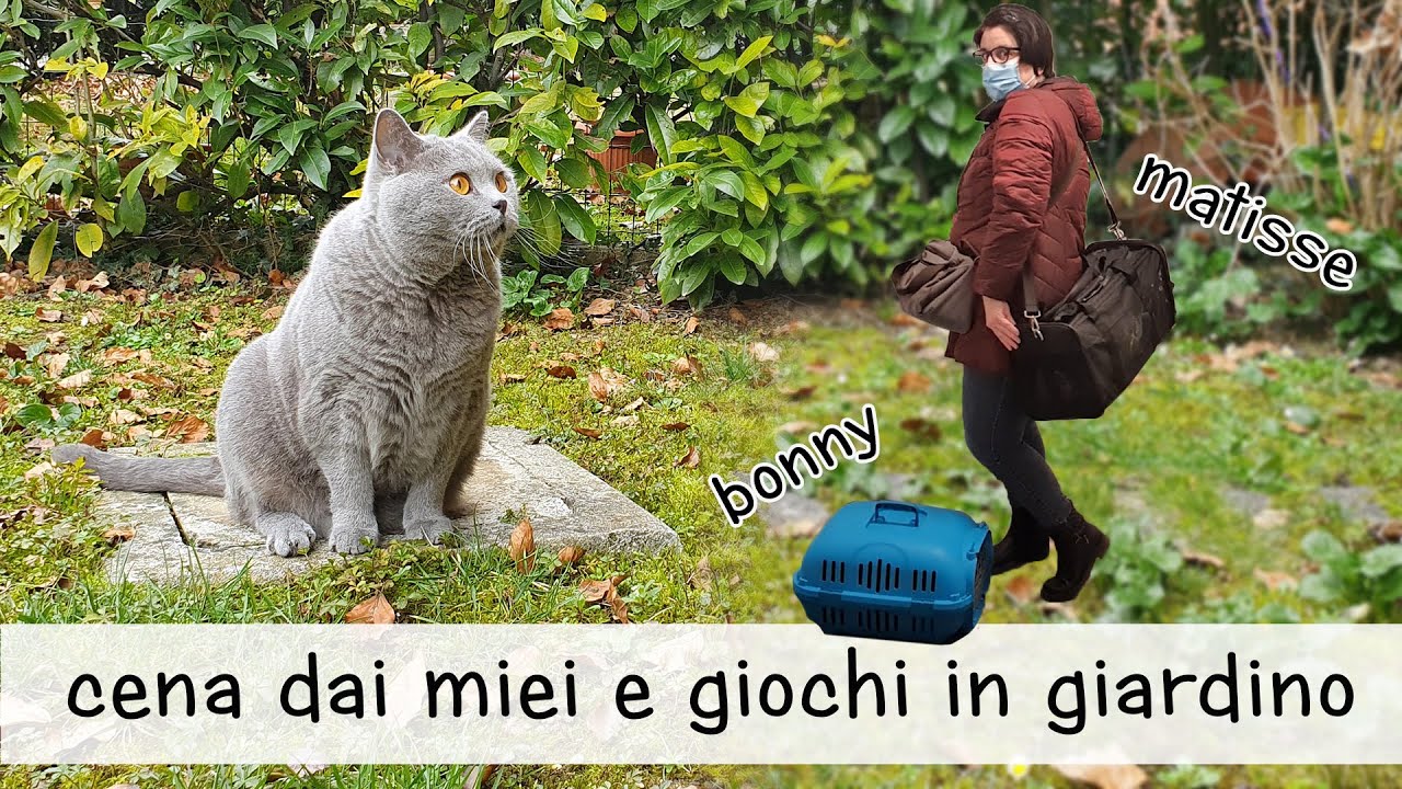 Cena dai miei e giochi in giardino