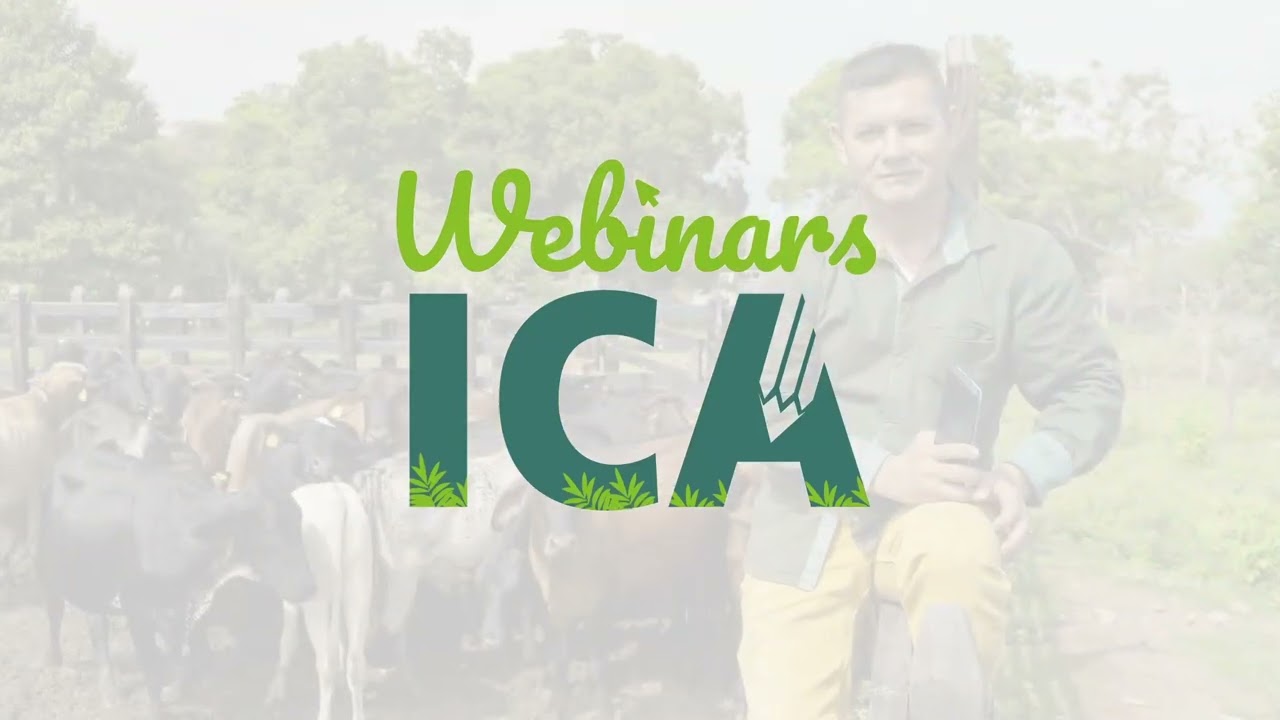 ICA | 5. WEBINARS ICA: ESTRATEGIAS PARA PROTEGER EL SECTOR BANANERO Y PLATANERO