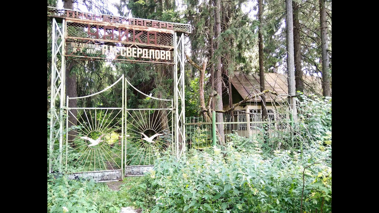 Чайка Заброшенный Пионер Лагерь Пушкинском районе.