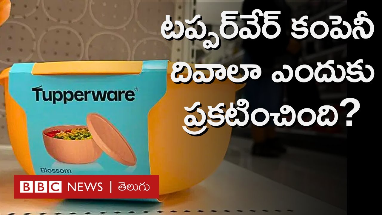 Tupperware: ఇంటింటికీ టిఫిన్ బాక్సులు, కంటైనర్లు చేర్చిన ఈ కంపెనీ దివాలా ఎందుకు తీసింది? BBC Telugu