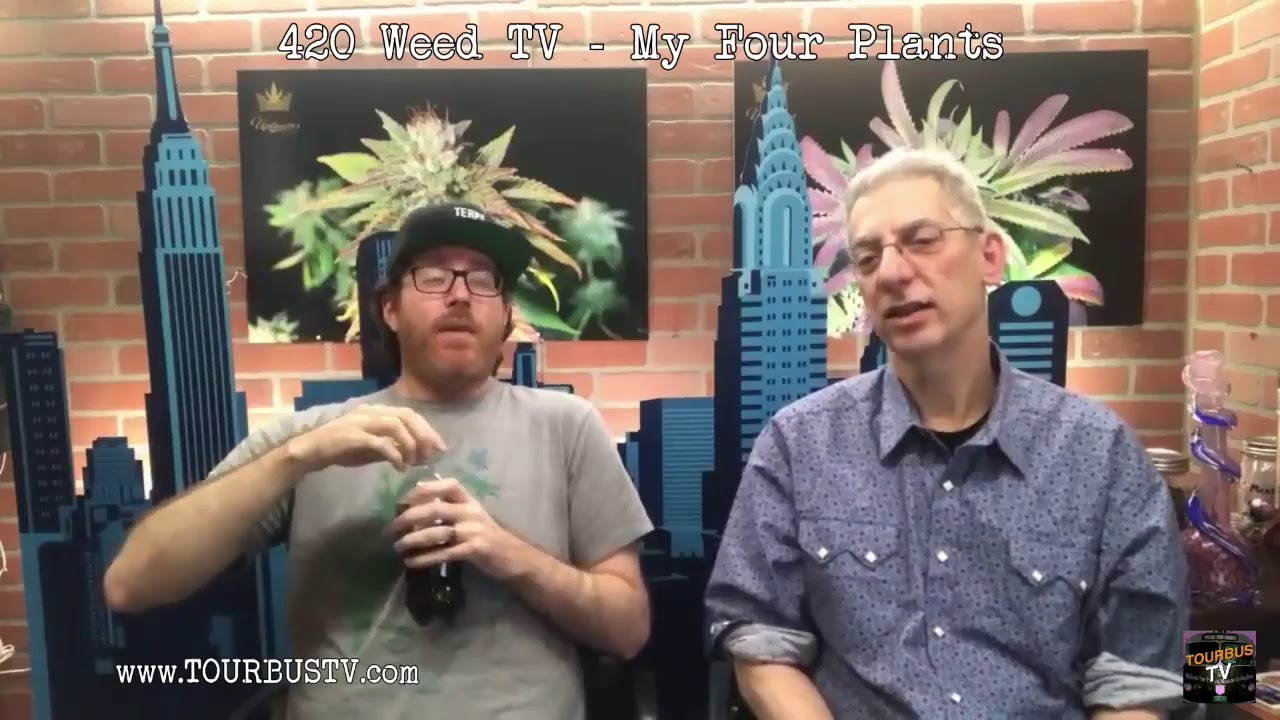 420 WEED TV - MY FOUR PLANTS - THE ADVENTURES OF ROBIN WEED