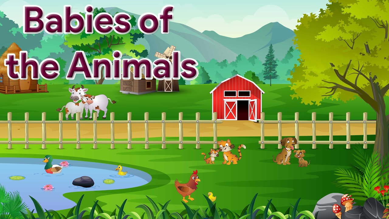 Babies Of the Animals | Galaxy Rhymes & Stories | Level C