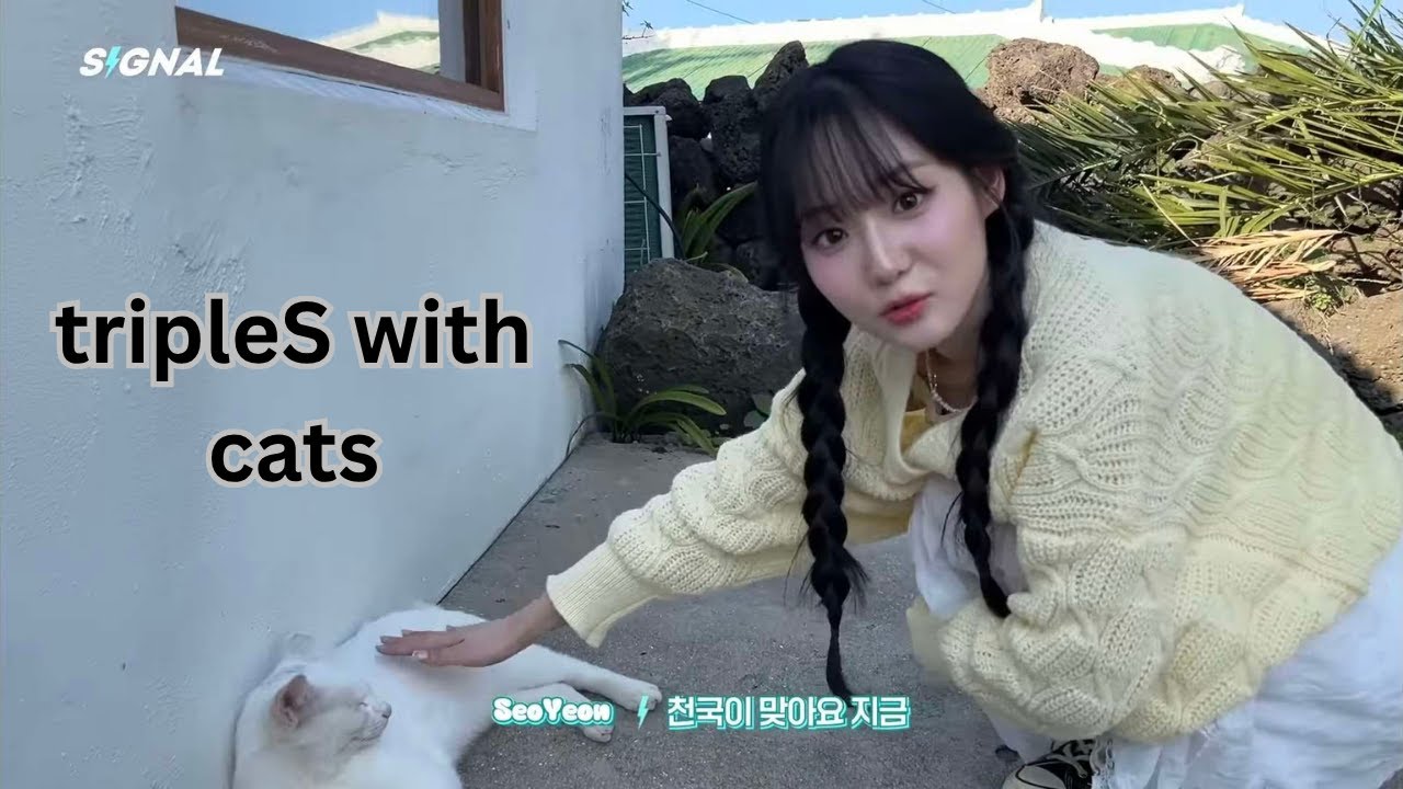 tripleS with cats (mostly SeoYeon, HyeRin, & Kaede)