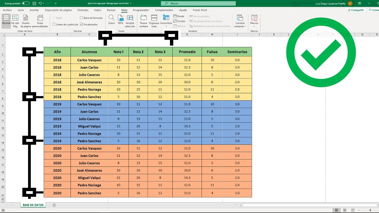 Como agrupar filas y columnas en Excel ( Subtotales )