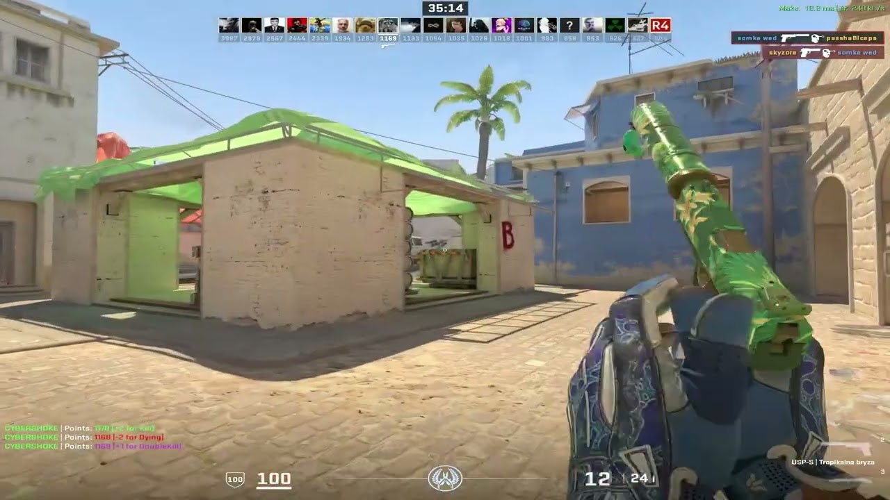 cs2 usp dm
