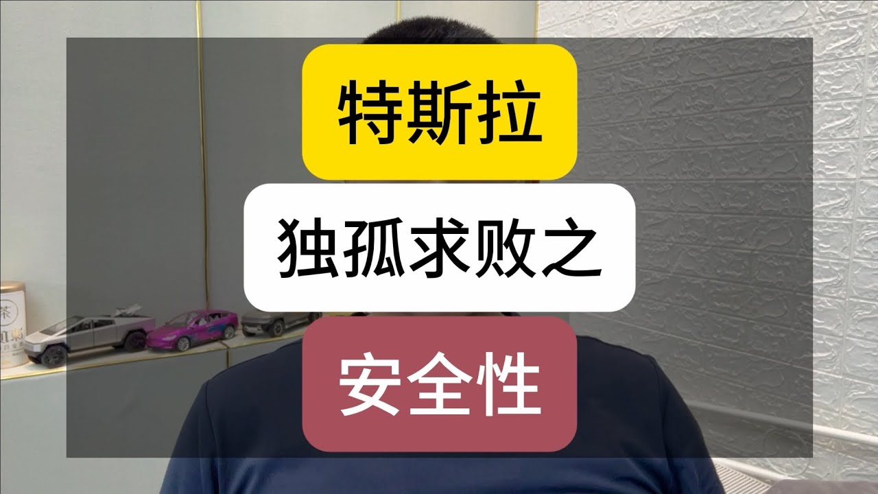 特斯拉独孤求败的安全性！