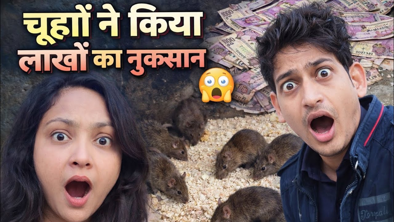 इतना बड़ा नुकसान! अब क्या करे?😥