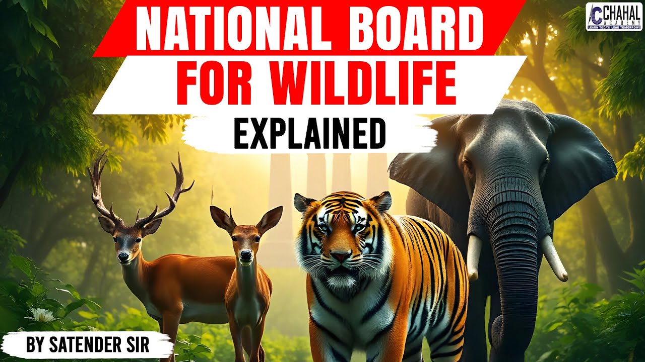PM Modi Chairs 7th Meeting of the National Board for Wildlife | NBWL Explained