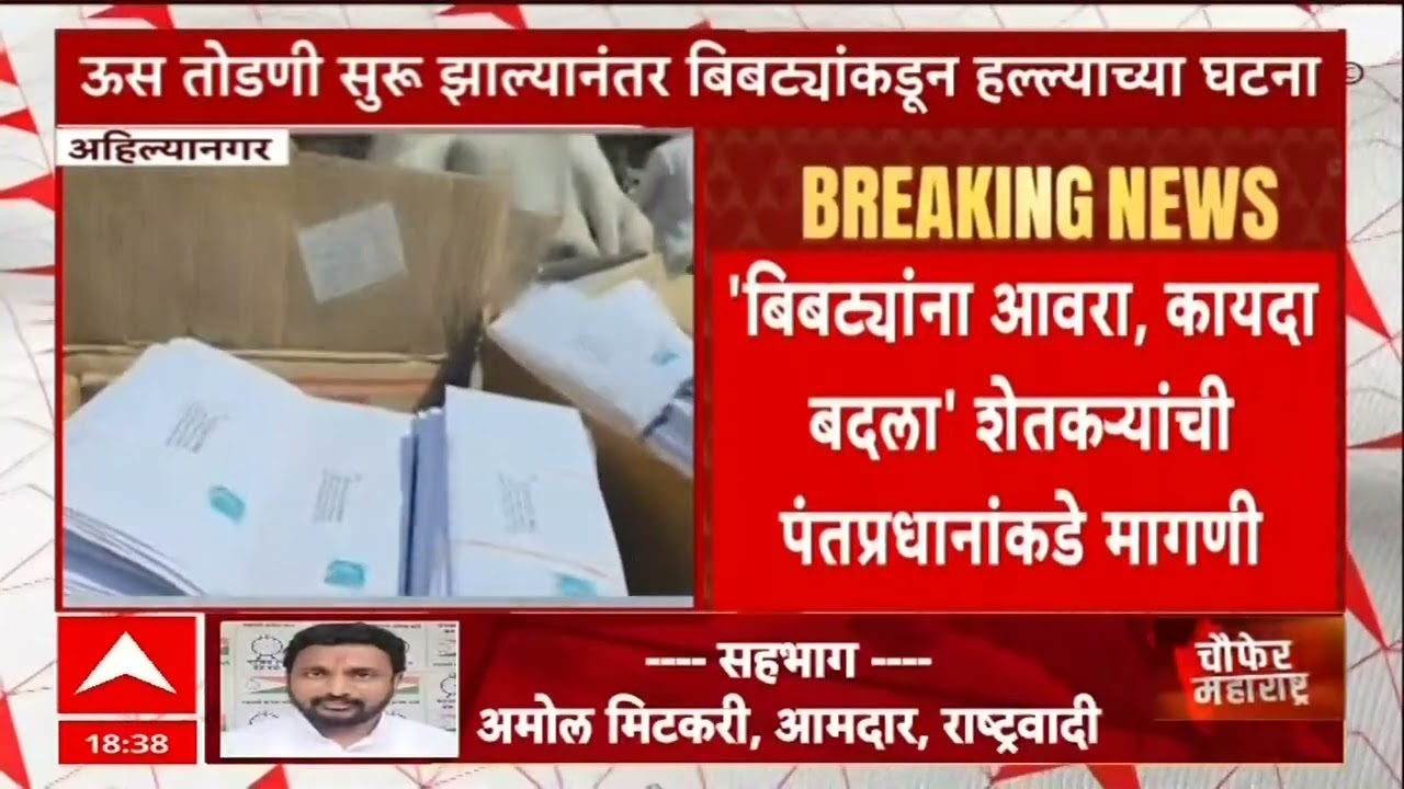 Solapur Fish Death : सोलापूर सिद्धेश्वर मंदिराच्या तलावातील माश्यांचा मृत्यू