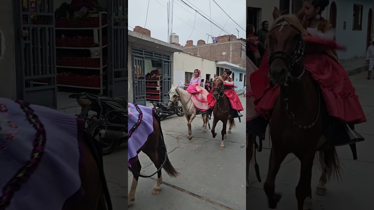 #horse #traditional #festivity #Jequetepeque #Peru #200 #years #foundation #celebration #tourism