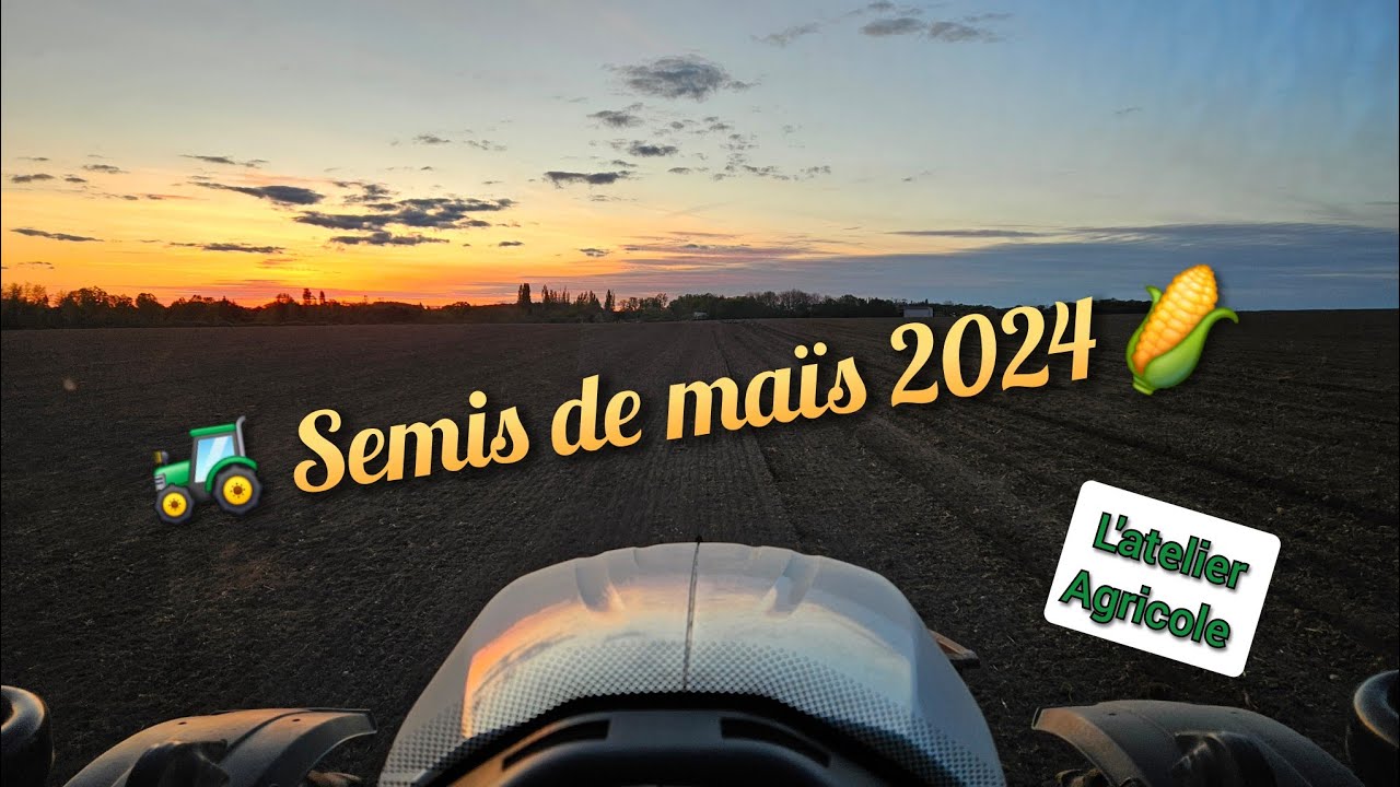 🚜 Semis de maïs 2024 🌽 en bonnes conditions (ça fait plaisir 😊)
