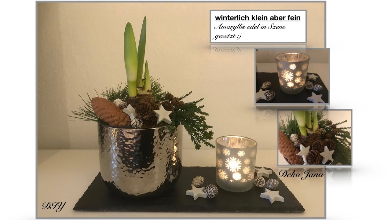 DIY: Wohn.- und Deko Idee, Last Minute Weihnachtsdeko, Amaryllis winterlich dekorieren❄️/ Deko Jana