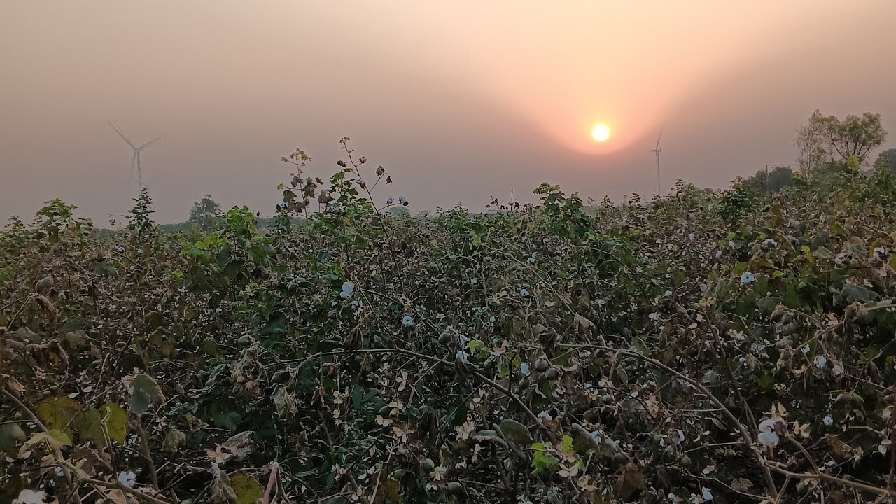 સહેજાદા બેન ને સાસરીયા માં ત્રાસ આપતા છુટાછેડા ની કરી માંગ ‼️#call #pakistan #callrecording #india