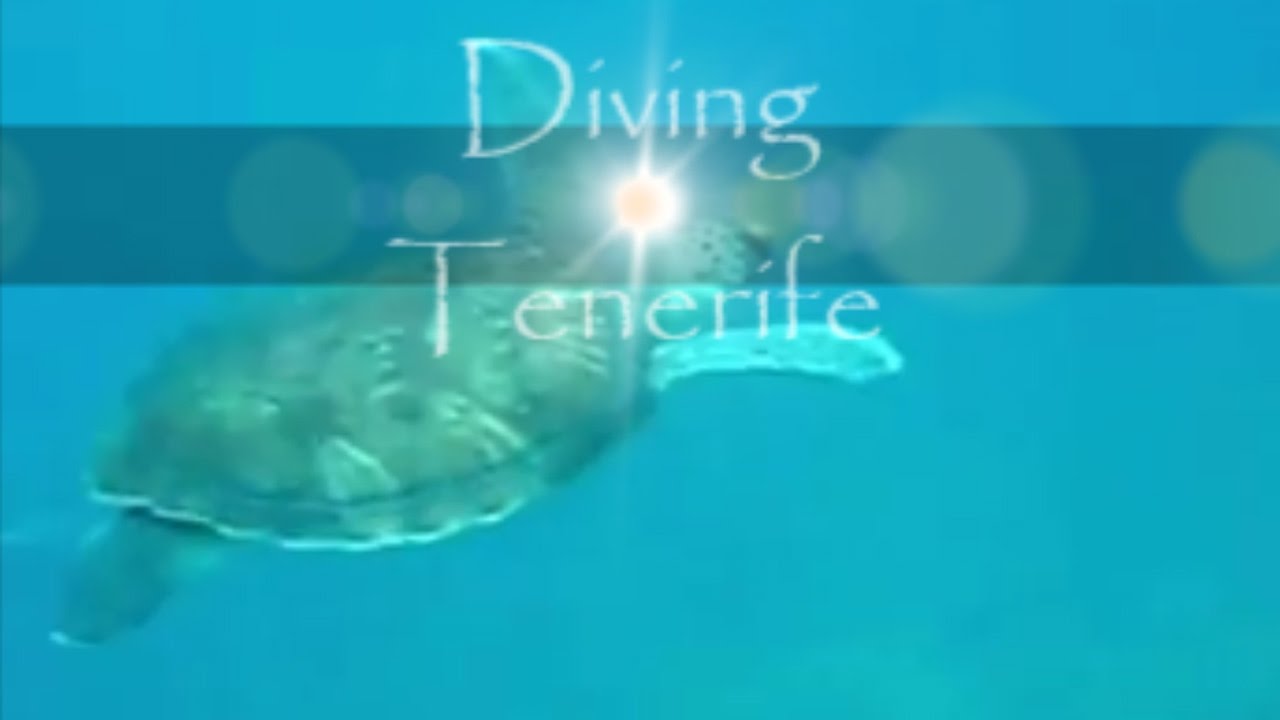 Tenerife diving