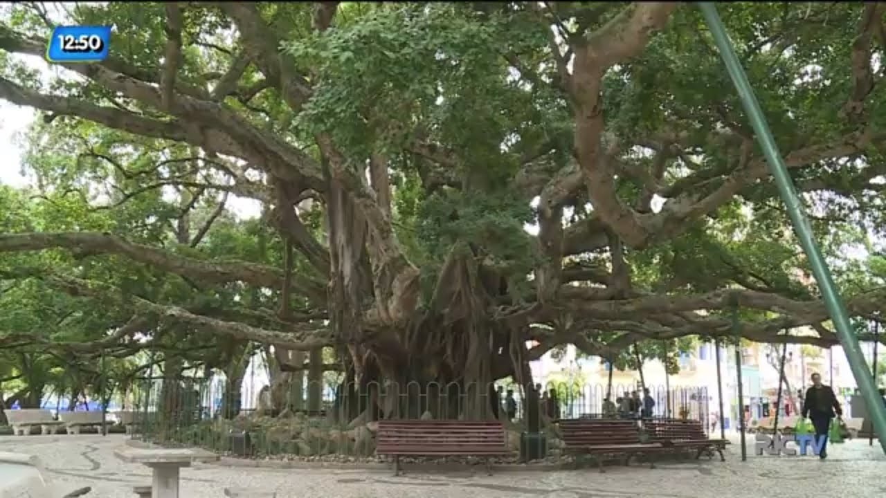Moradores de rua e usuários de drogas ocupam Praça XV, em Florianópolis