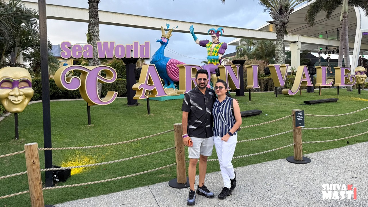 Sea World Carnival | Dolphin Show | Amazing Night Light Show | Gold Coast
