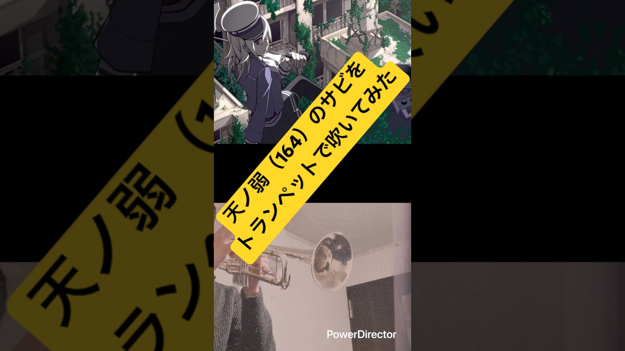 【Trumpet Cover】天ノ弱（164）