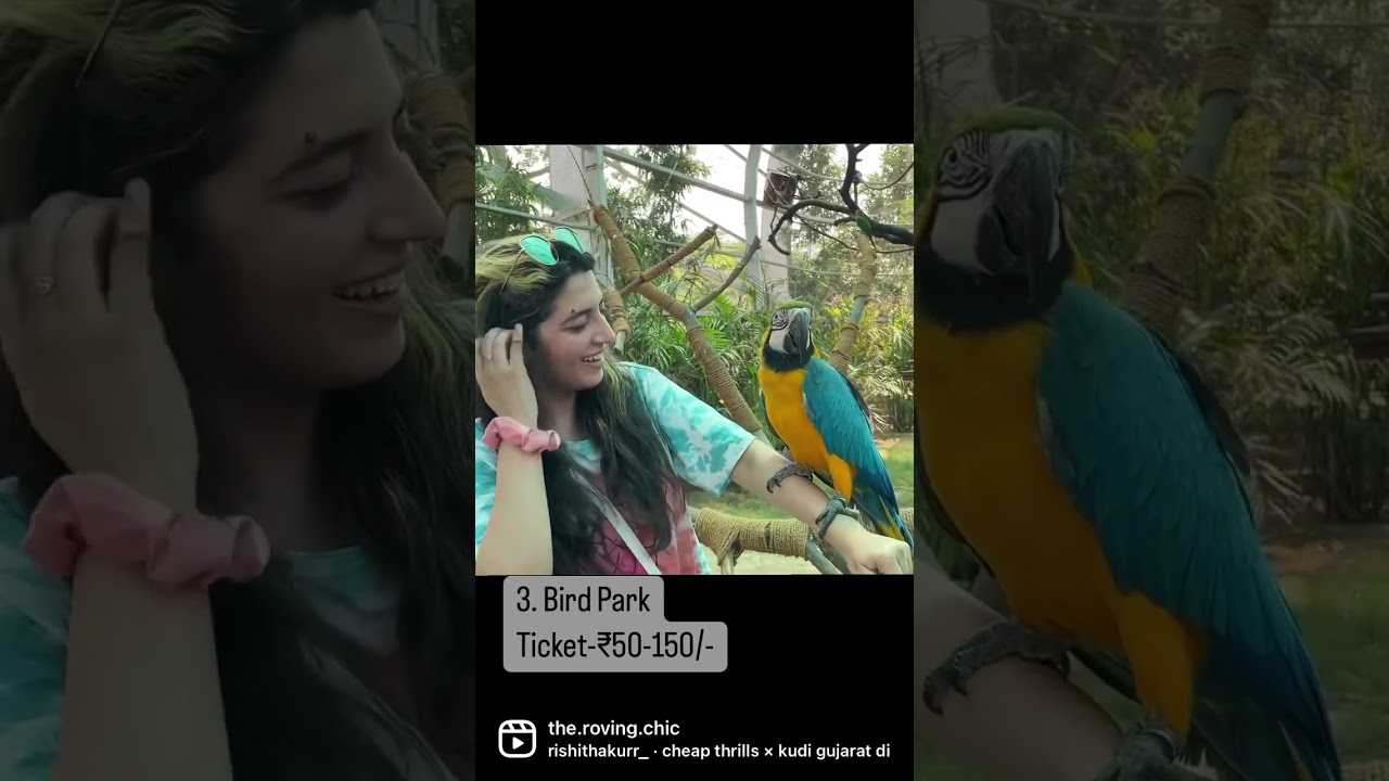 Amazing Things to do in Chandigarh | Chandigarh itinerary #travelshorts #chandigarhbirdpark