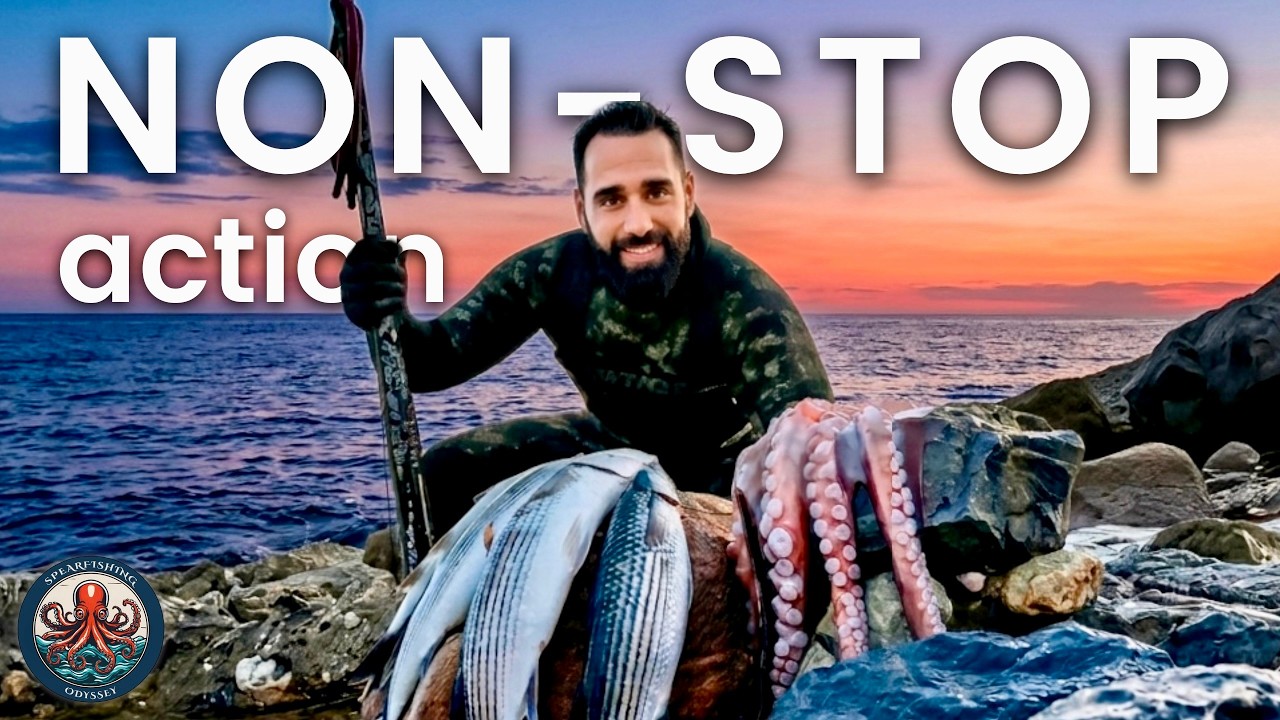 🔱 Shallow Spearfishing in Peak Season | Non-stop Action & Cannibal Octopus 🐙