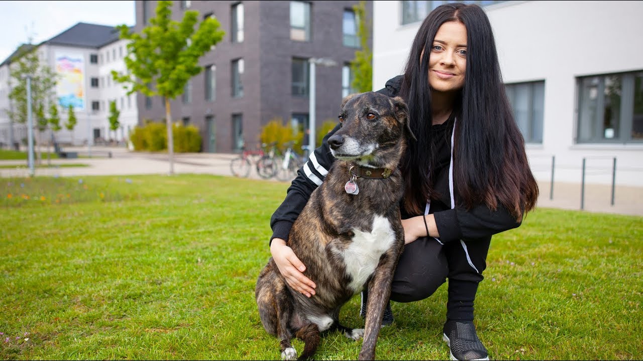 Studentin entwickelt Hundeprothese