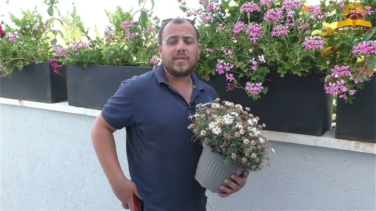 משתלת יערים הכשרה אריאל פוקס דיני שמיטה לגינה פרטית 