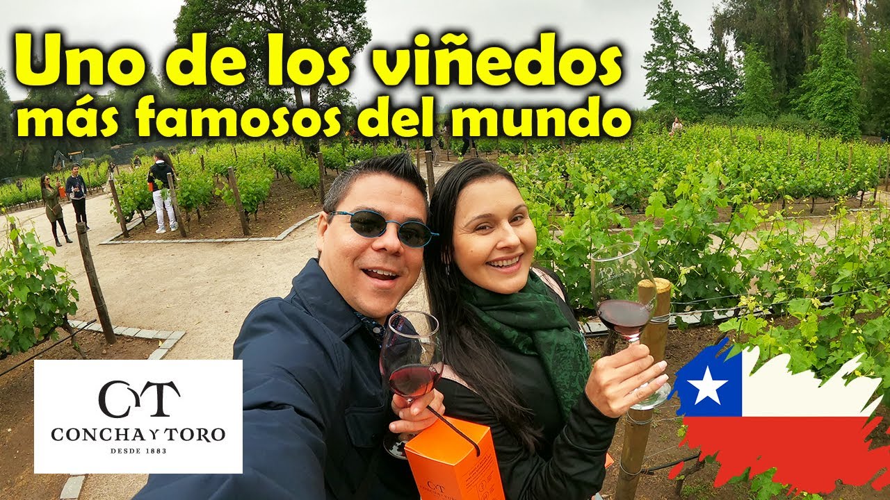 El VIÑEDO más grande de CHILE, FULL TOUR por la Hacienda Concha y Toro - Los Mapamundis 🗺️