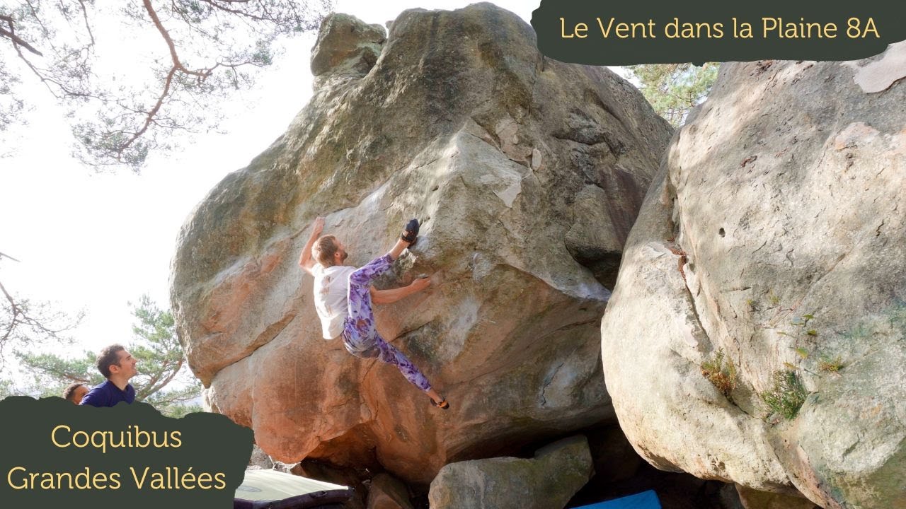 Le Vent dans la Plaine 8A / Coquibus Grandes Vallées / Fontainebleau
