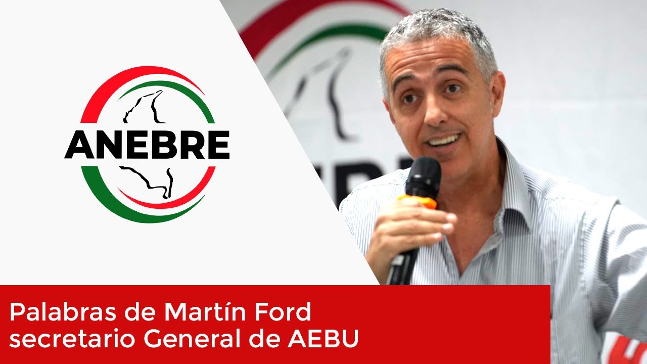 Palabras de Martin Ford