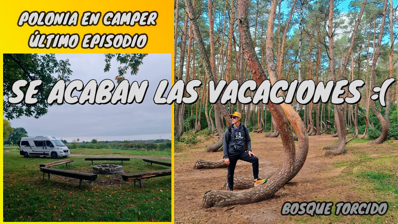 BOSQUE TORCIDO Y VUELTA A CASA. POLONIA EN CAMPER #16