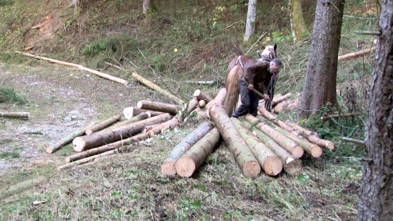 Der Holzrücker von Taxenbach im Sommer