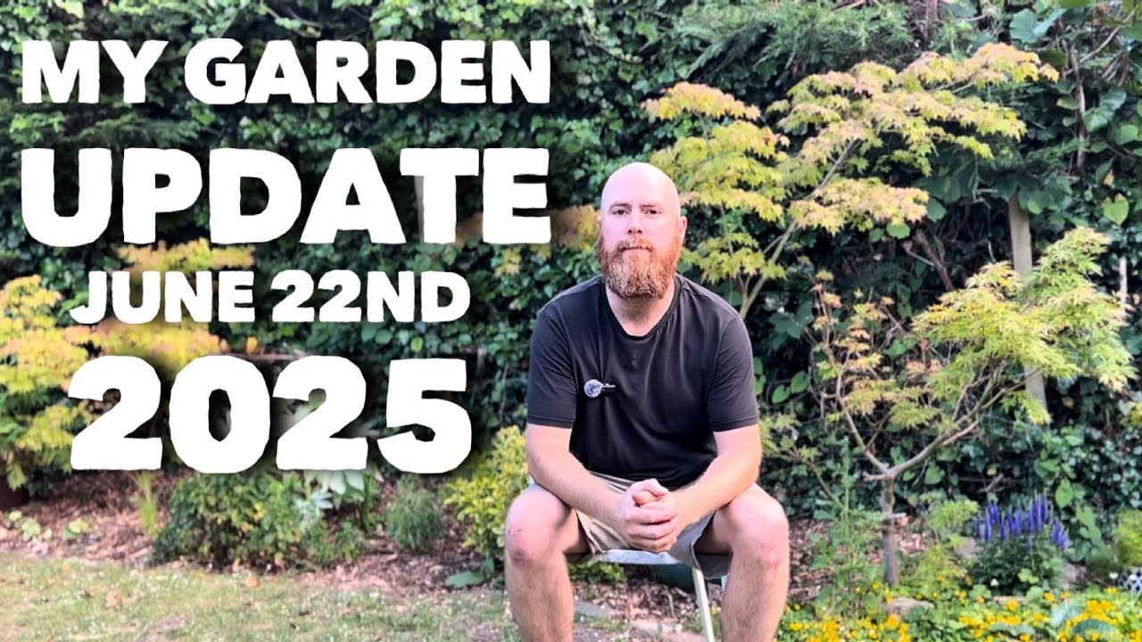 My Garden Update 22nd June 2025 #gardening