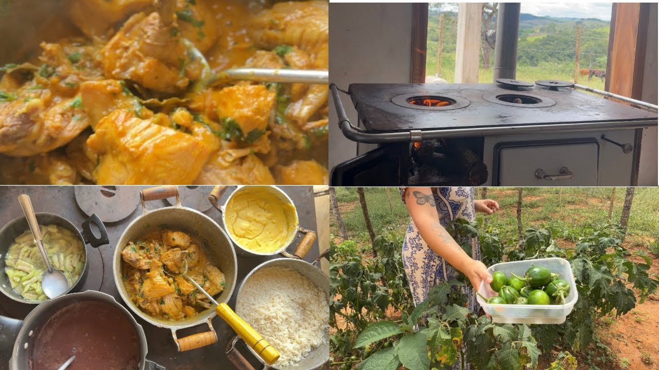 Preparei um almoço delicioso no fogão a lenha | Vida simples na roça 