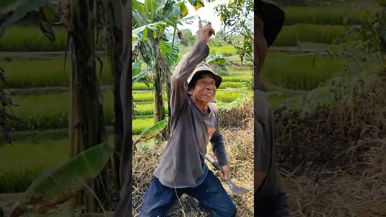 GARA GARA PACUL HILANG 