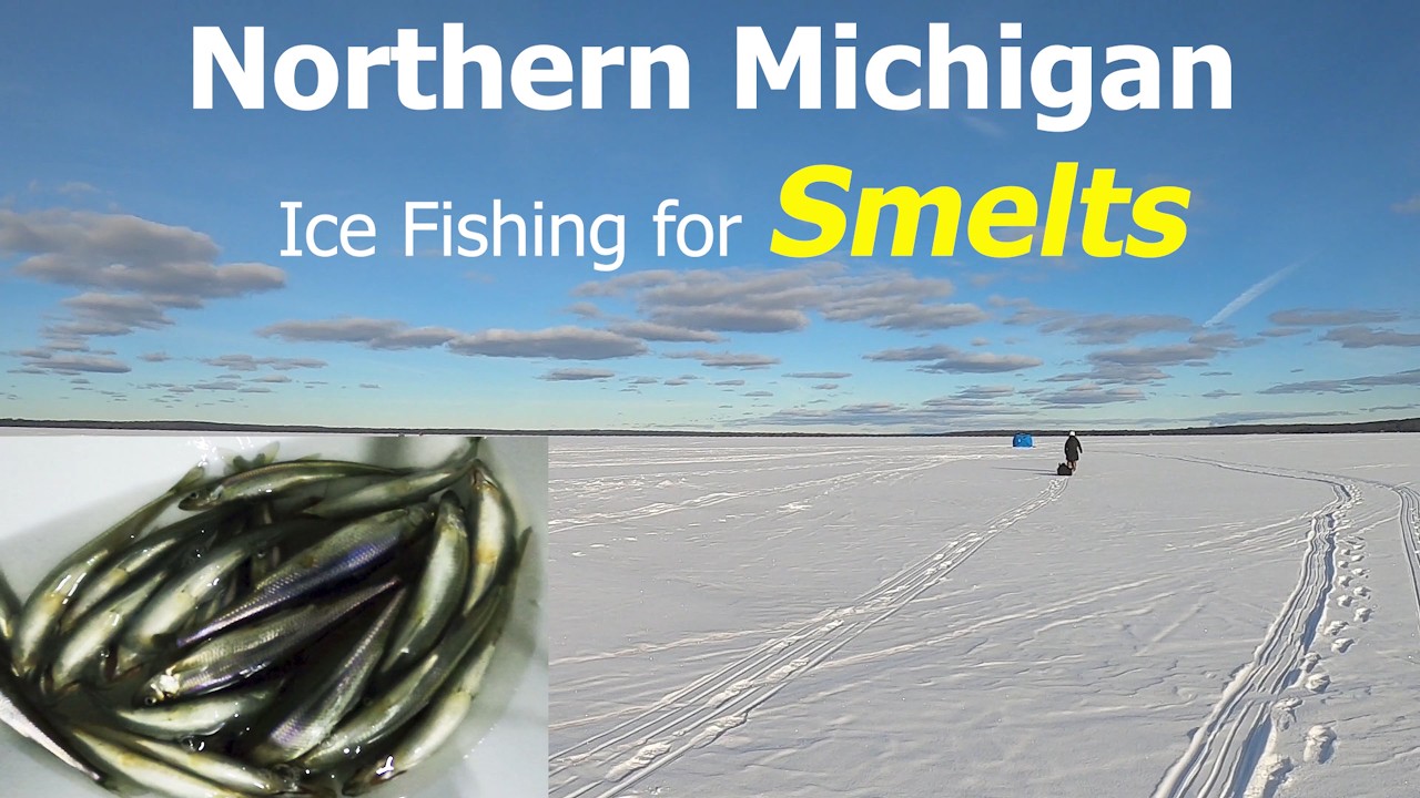 Northern Michigan Ice Fishing for Smelts 2-10-2026
