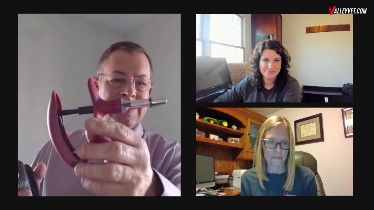 Valley Vet LIVE with Allflex Syringes