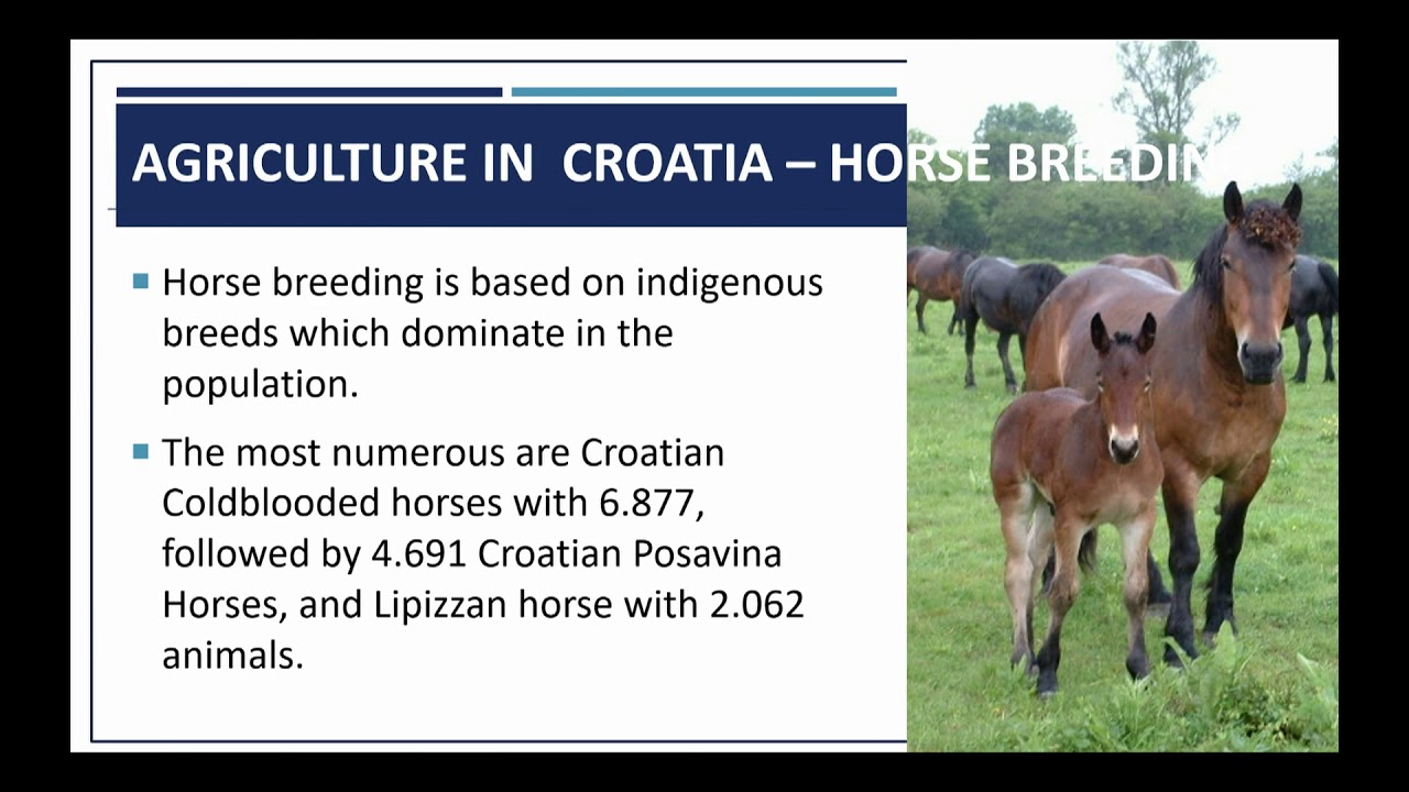 Agriculture of the Republic of Croatia