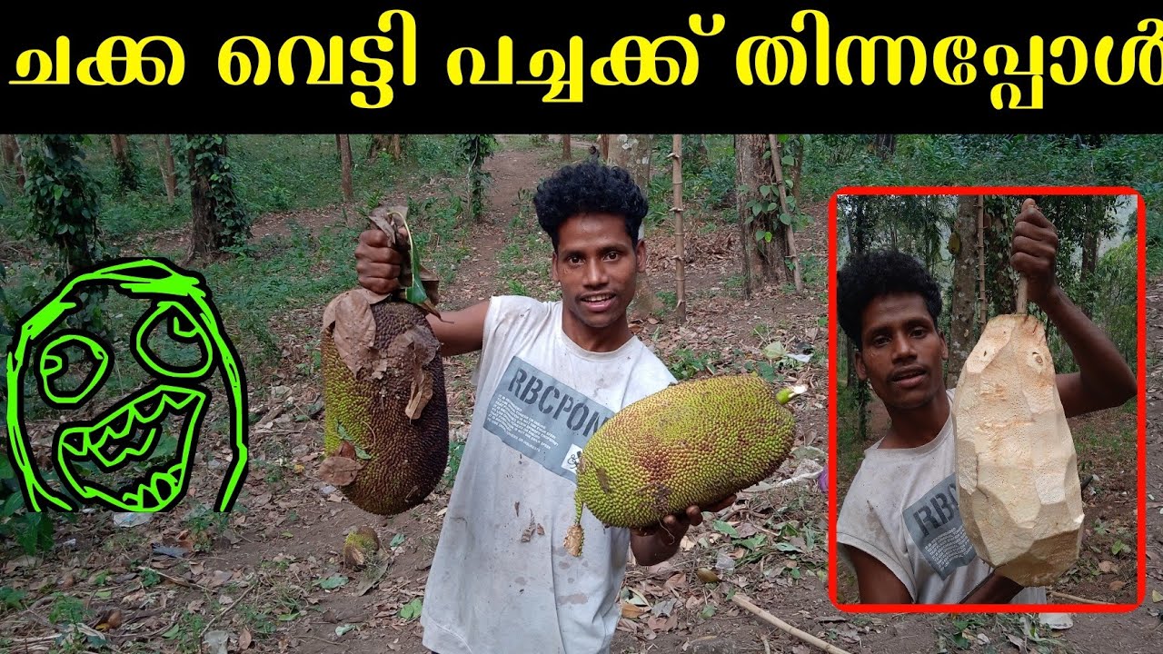 ഇവിടെ ഇങ്ങനെയാണ് ചക്ക വെട്ടുന്നത്| Jack vlog |njaan Rahul