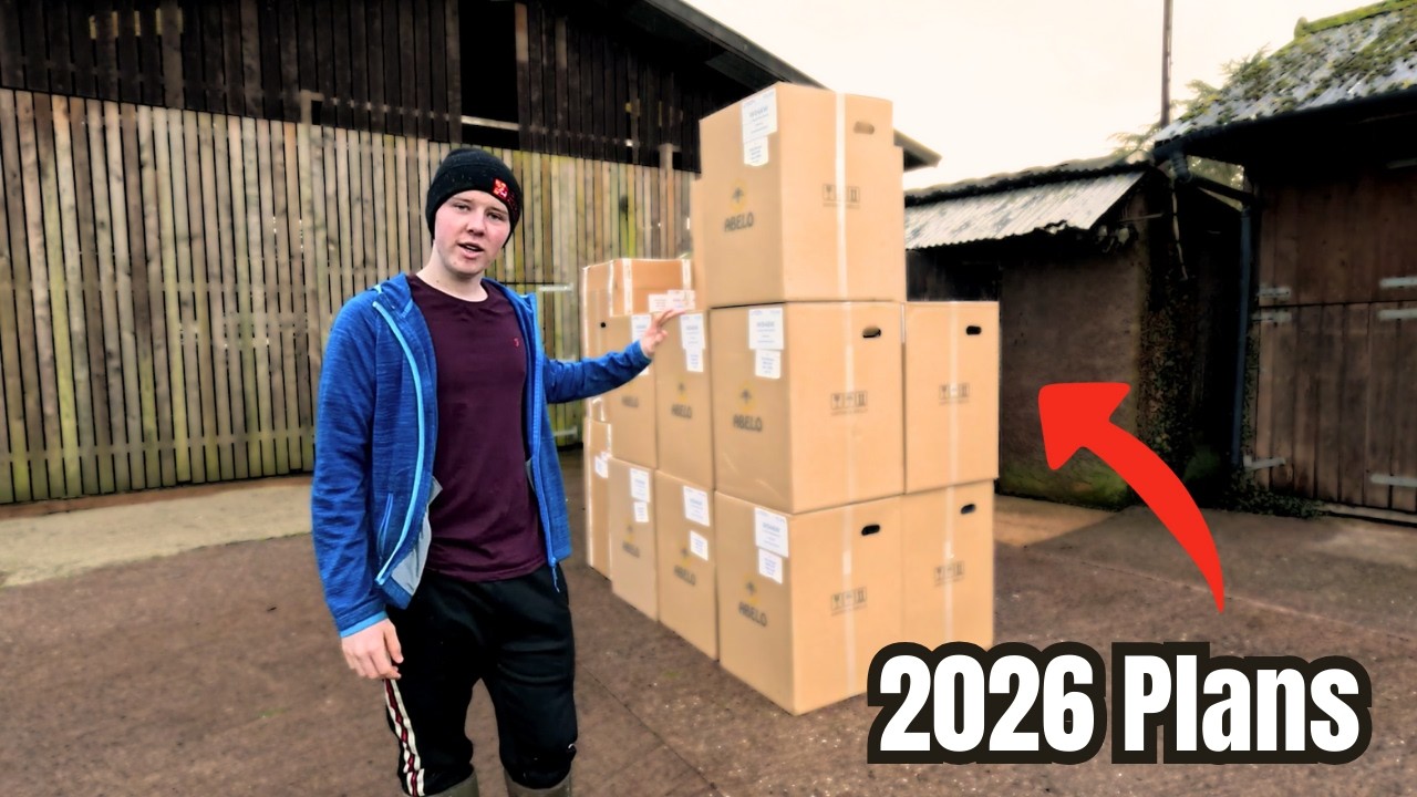 Расширение моей пчеловодческой деятельности и планы на 2026 год.