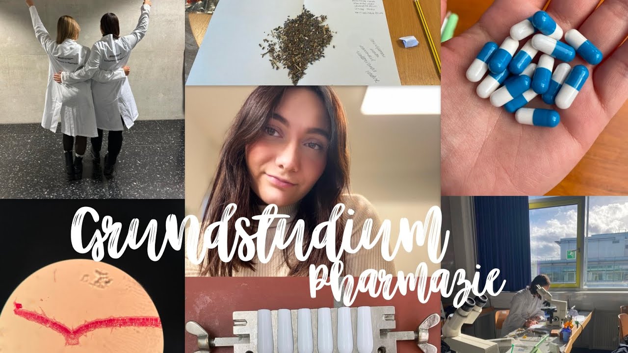 Meine Erfahrungen im Pharmazie Grundstudium: So gehst du mit Ängsten und Herausforderungen um!
