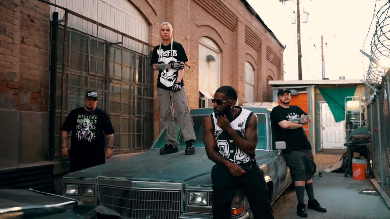 Willy Northpole, Whitney Peyton, Astray, Bag Of Tricks Cat - Cook (OFFICIAL VIDEO)