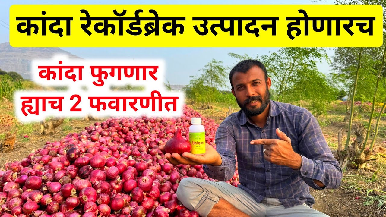 कांदा फुगवण फक्त हया 2 फवारणी मध्ये | kanda fugavan | kanda dand man jad upay | कांदा फवारणी 