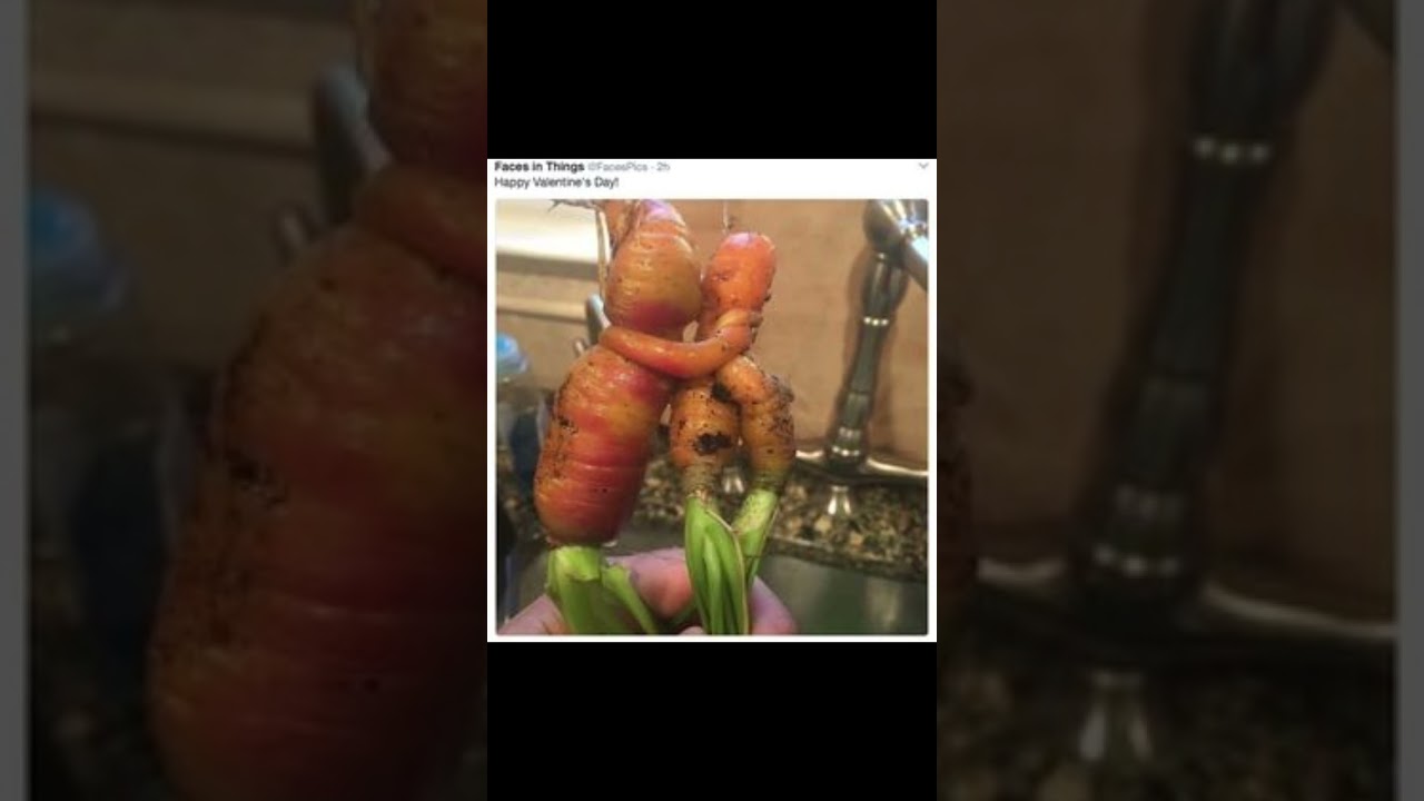 Funny Shape Fruits and Veggies | Bentuk Lucu Buah dan Sayur