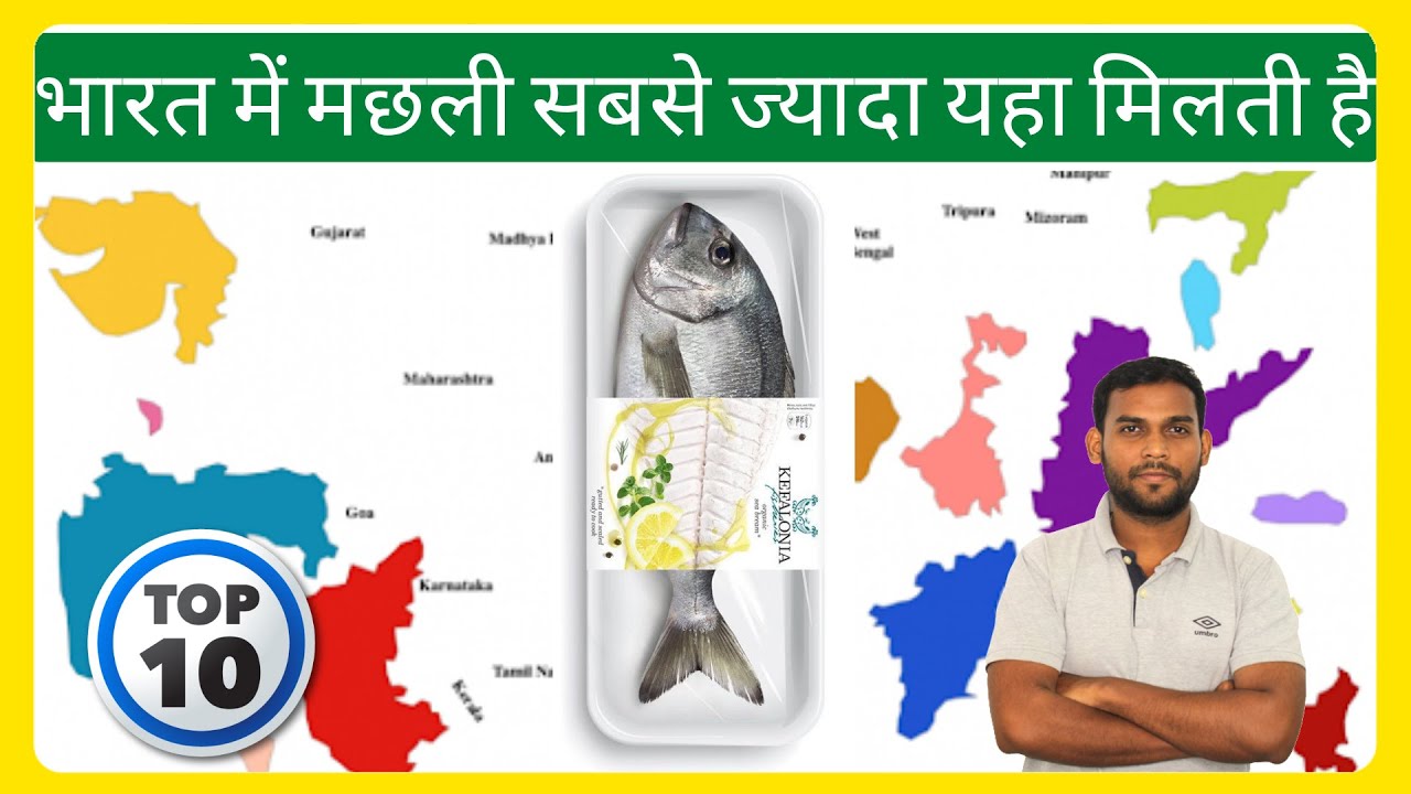 fish production in india || भारत में मछली कौन से राज्य सबसे ज्यादा बेचते हैं || top 10 fish export