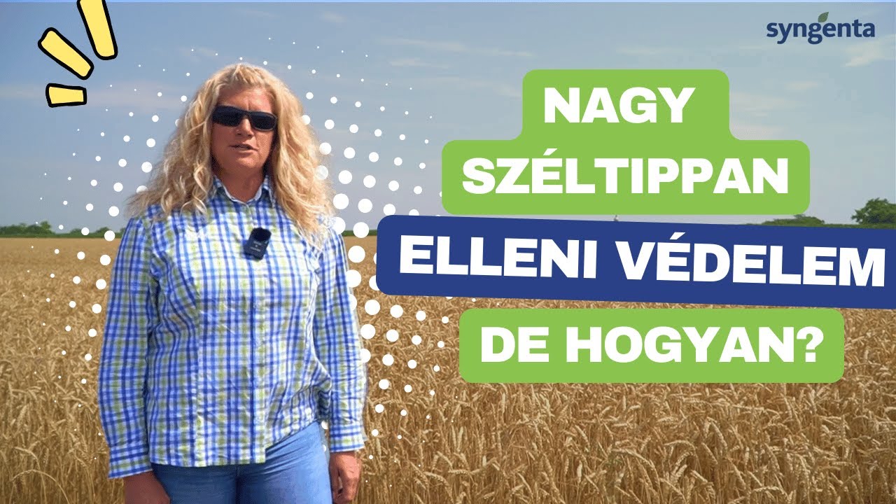 Őszi gyomirt&aacute;s ny&aacute;ri 